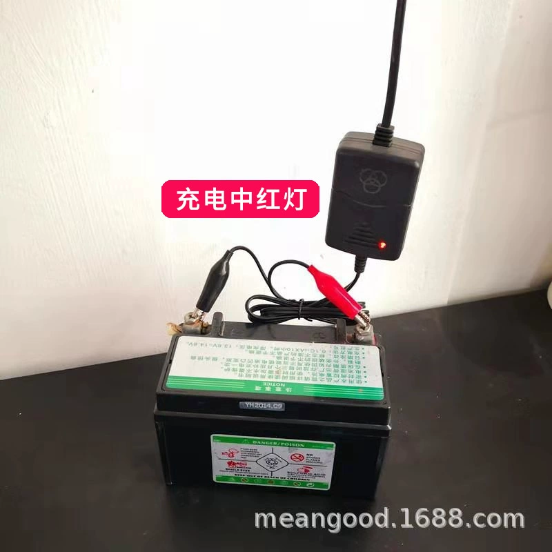 Charger, smart rechargeable battery, 12v, 12v