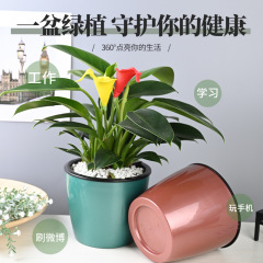 豎紋懶人花盆北歐風格懶人花盆自動吸水免澆灌儲水花盆綠蘿塑料盆