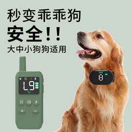 狗狗玩具;止吠器;狗狗牵引