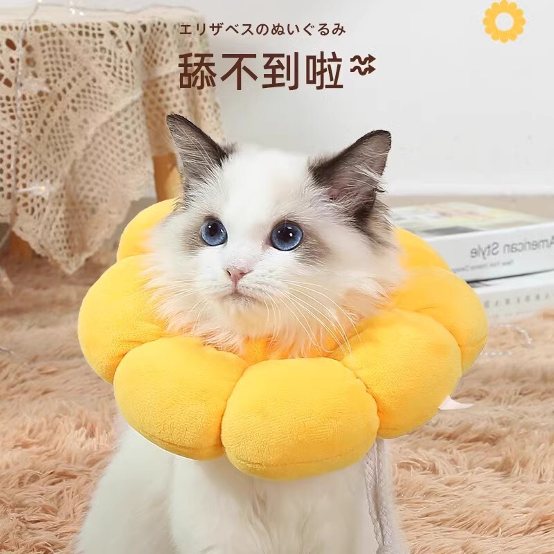 エリザベスリング猫の育成防止の首輪はノミの小さい猫の首輪の首輪の頭をなめて犬のペットの用品を取り除きます。|undefined
