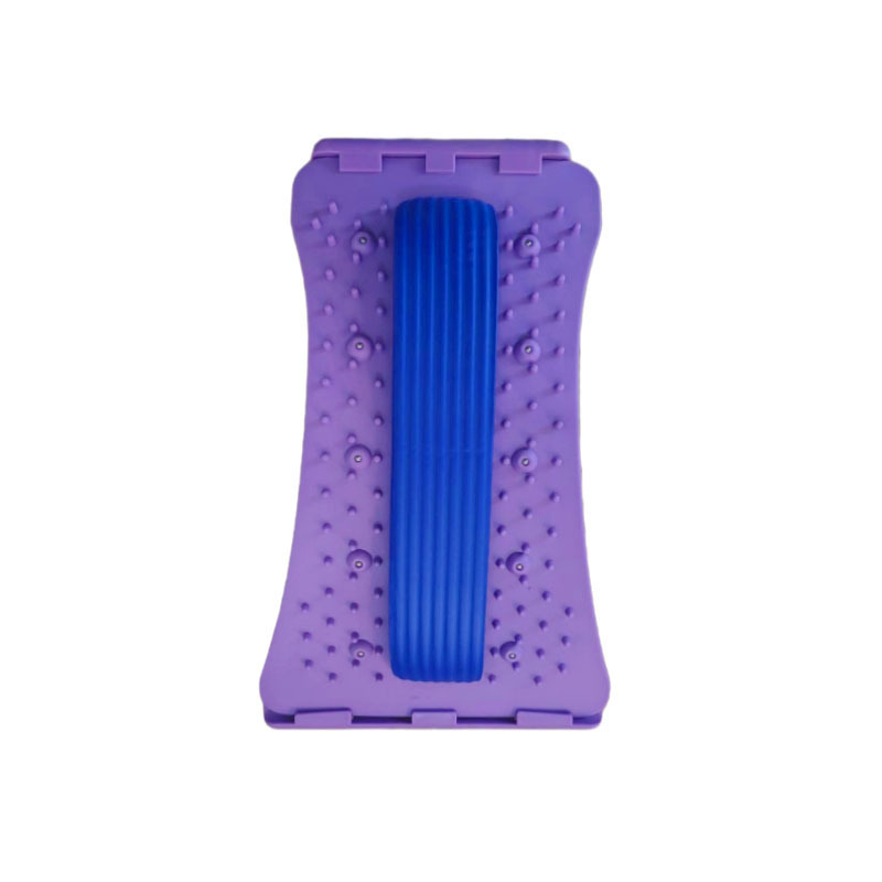 타로 퍼플 + 블루