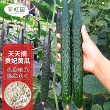 ����ժ�F���S�ϷN����Ʒ���S�ϷN���ļ���ϴ���߮a����֧�ִ��l