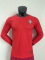 24-25 players long sleeved Portugal home court