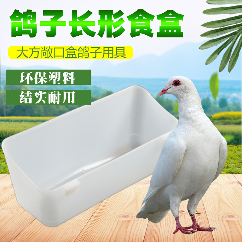优质长形加厚白色鸽用食槽饲料食盒料盒鸽子食槽喂食槽耐用