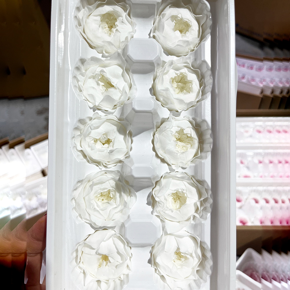 Grado A 3 - 4cm blanco 10 flores / caja