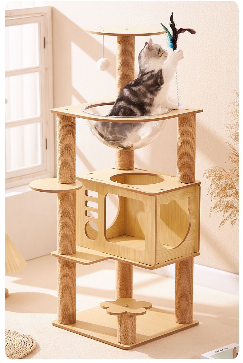 a7c7c75a-96e0-4ffd-9e3a-9a198ed2f68a.jpe