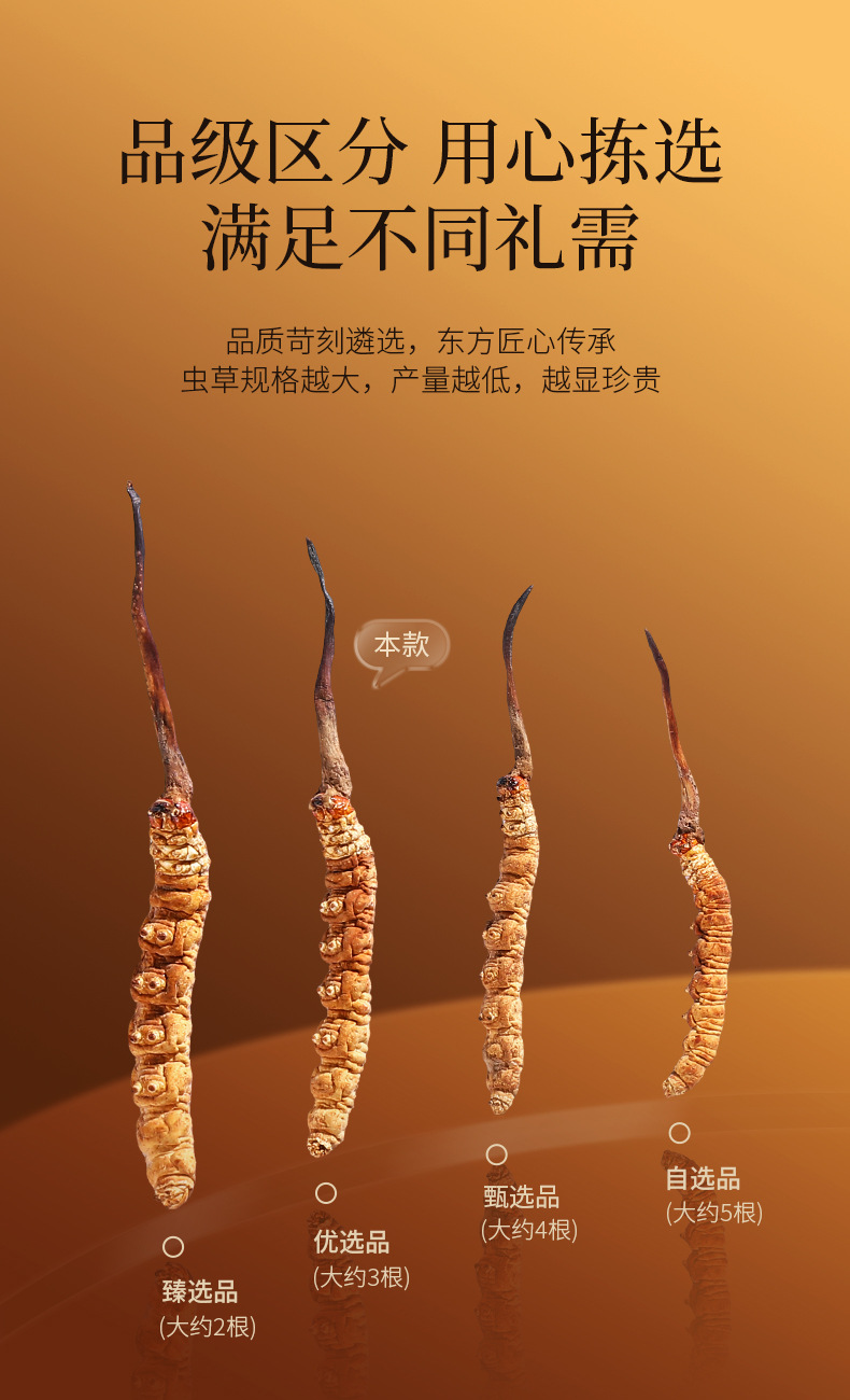 Premium Cordyceps Sinensis Gift Box 50 Stems 16.7g Dong Chong Xia Cao for Traditional Herbal Soups key features