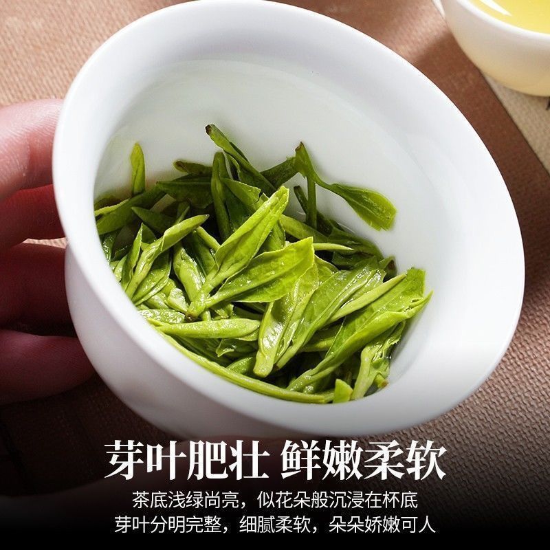 新茶恋凝香正宗高山龙井绿茶2025手工手采豆香浓郁浓香型茶叶罐装|undefined