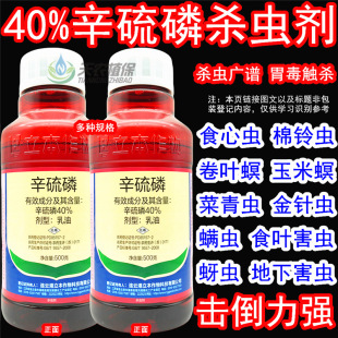 ����������40%���xʳ���xϓ����Q���ϻ����º��x����rș���x��