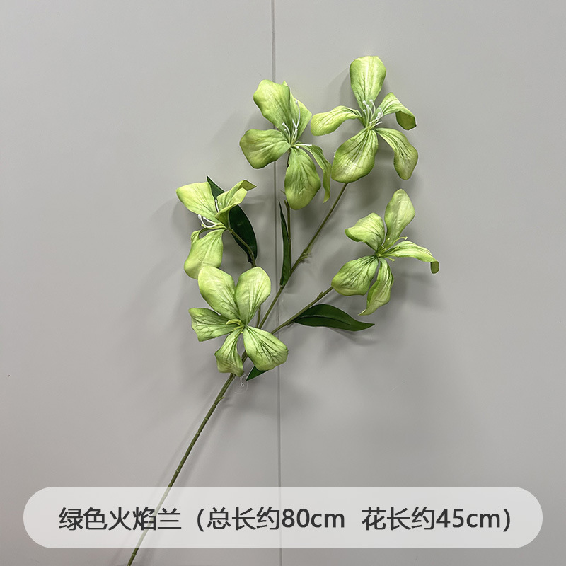 芦荀草绿植花龙须草假花白绿森系婚庆装饰自然风背景插花路引|undefined