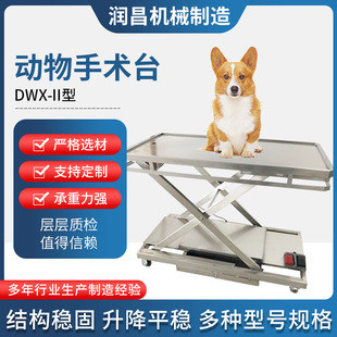 Dwx-Ii Type Pet Operating Table Hydraulic Lifting Large and Small Animal Dissection Table Foldableing Pet Operating Table