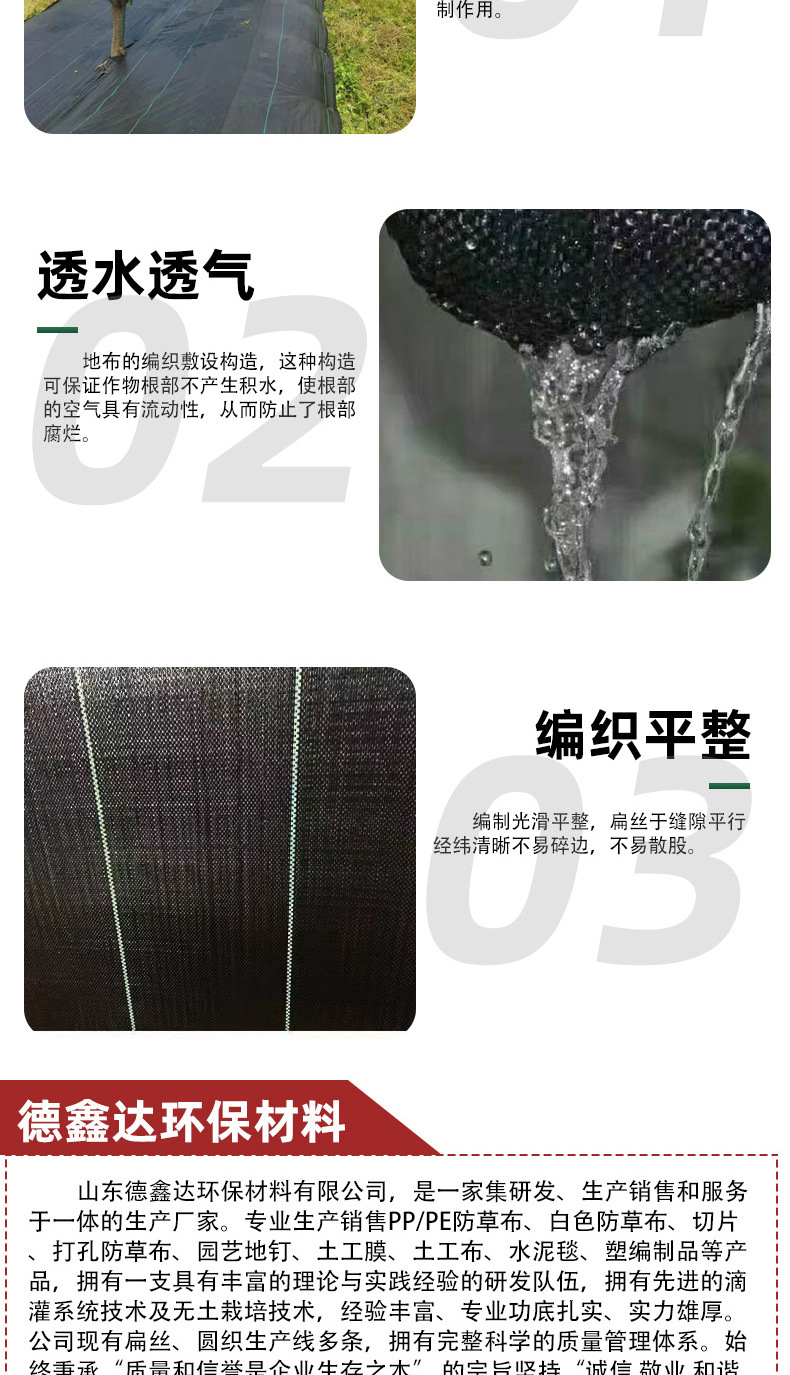 502de9be1181b35e18f38bd4e06579