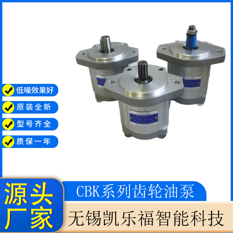 长江系列齿轮油泵CBK1012-B3FR采煤机油泵厂家  调高泵