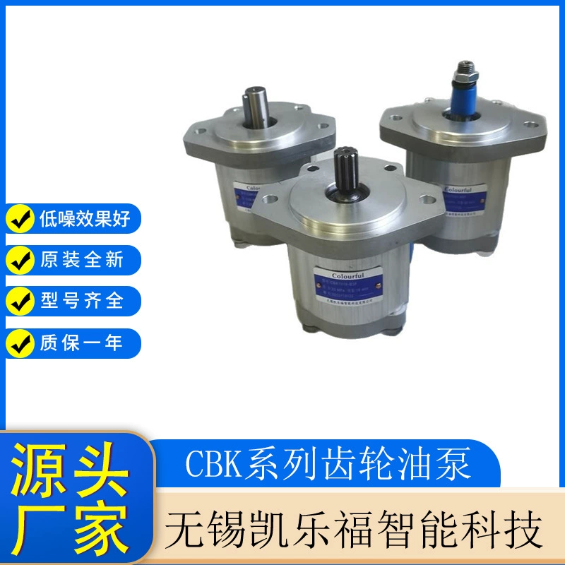 CBK1016-B4F Производитель угольного масляного насоса Yangtze Шестеренчатый масляный насос Насос регулировки высоты