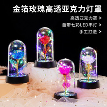 金箔玫瑰花亚克力灯罩永生花玻璃罩圣诞节七夕浪漫情人节礼物摆件