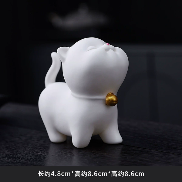 Aojiao Cat