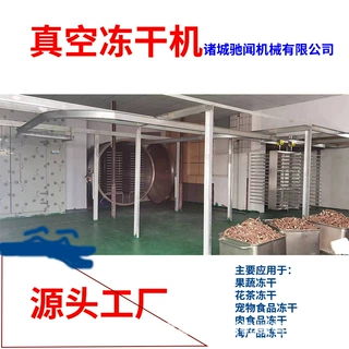 驰闻低温冻干机多型号 真空冻干机厂家直销 宠物食品冻干机多少钱