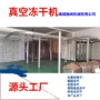 真空多少低温宠物冻干机