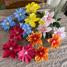 3�^��ӡ�F��ɏ �ͮ�С�ٺ� ��Y�zӰ���ߔ[�O�ٻ� �^��b���