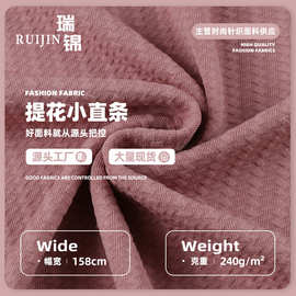 提花小直条提花布 240g弹力皱纹涤氨布料 时装上衣连衣裙针织面料
