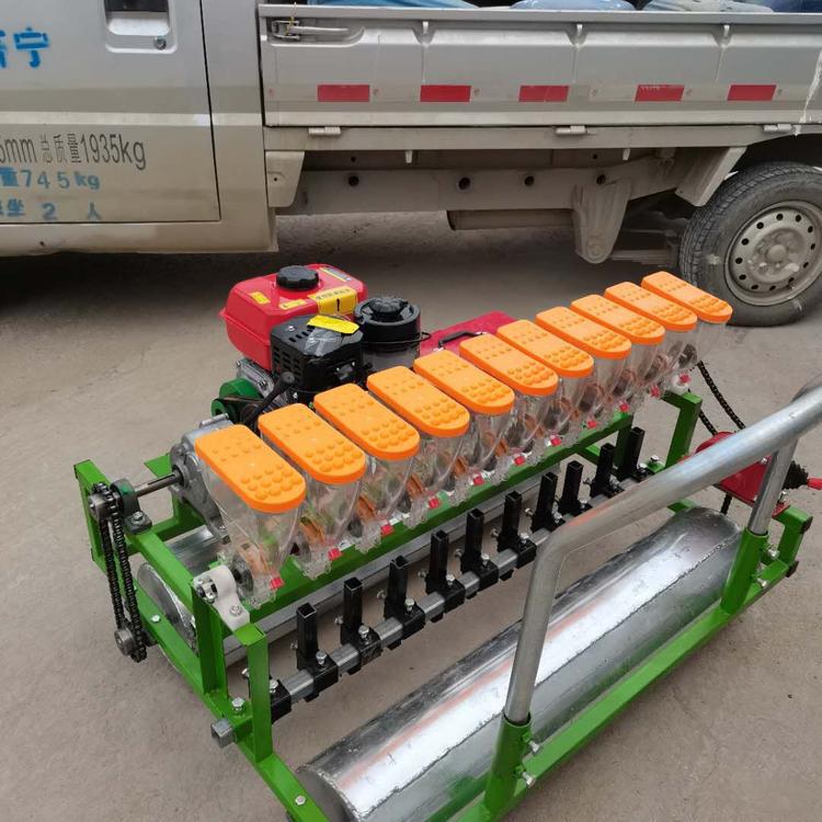 Siembra de vegetales autopropulsada de gasolina, plantación de plántulas de materiales medicinales, siembra precisa de apio y cilantro