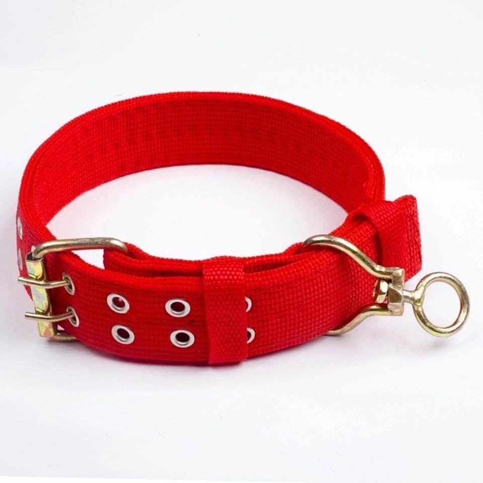 Dog Collar Large Dog Small Dog Dog Neck Collar Golden Hair Medium Dog Neck Bit Adjustable Samoyed Neck Guard