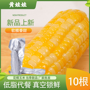 2025�^���������SŴ�����rʳ����Ŵ����ճ���ז|��Ŵ����ܛŴ