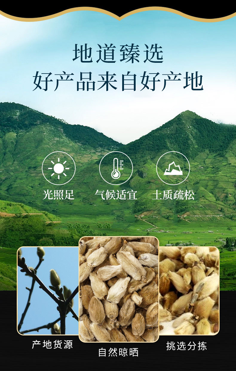 Xin Yi Flower Buds (Magnolia biondii) — Dried Magnolia Flower for TCM Tea & Blends overview