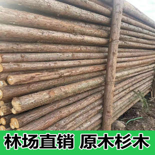 ��Ɏ��ӵ�����ɼľľ��ľ�G���bUɼľƤ��֧�ΗU��ľԭľ