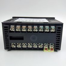 XSD/A-G2IIT4A1B1V0 Multi-channel Thermal Meter Shanghai Shangrun Instrument