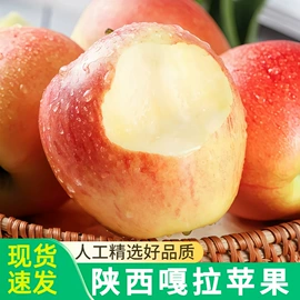 块茎类;其他水果;梨