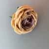 Gray yellow