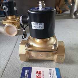 -水用GCS材质电磁阀铜电磁阀图片10T