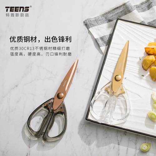 Ternes Acrylic Kitchen Shears Multifunction Powerful Chicken Bone Shears Seafood Shears BBQ Meat Vegetable Shears Stainless Steel Shears