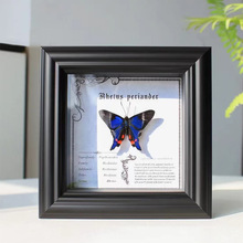 欧式木质中空蝴蝶昆虫标本框摆台手工DIY纪念相框礼物玻璃展示框
