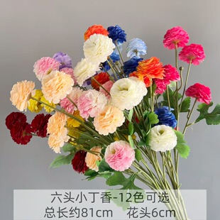 6�^������滨 ��c�û� ܽ�ػ��ٻ��쾰��Y����·�� �S�����l