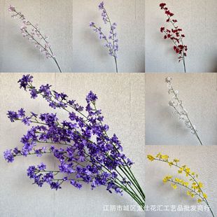 ��Y���滨�滨2̖ ��������ӭ���� ���滨�Ɍ��������ˇ������