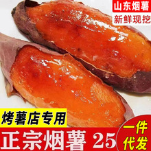 山东正宗烟薯25号红薯糖心蜜薯糖心超甜新鲜沙地烤地瓜批发代发