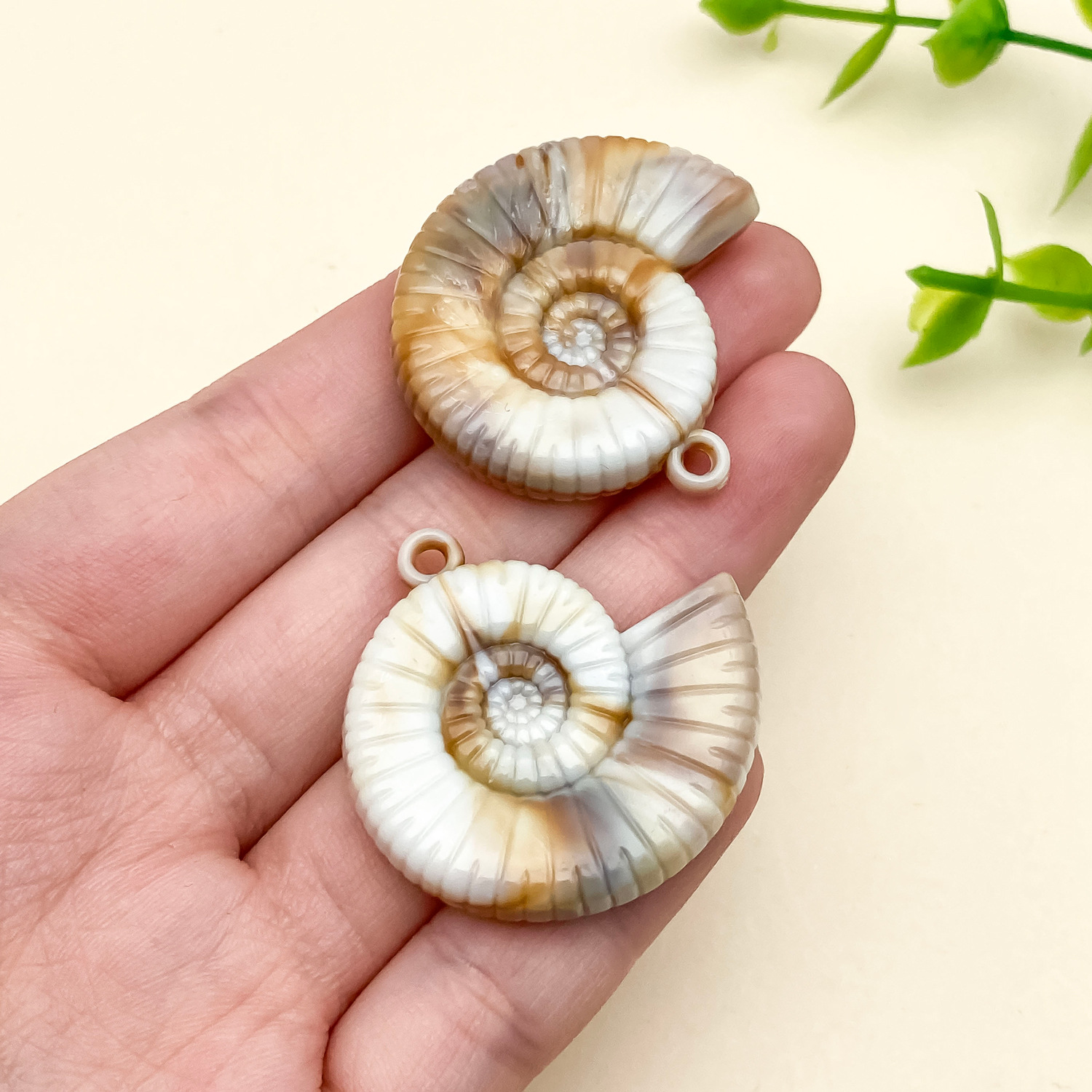 23604-XDX-B68-米黄色亚克力海洋卷卷海螺33x3