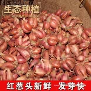 �Nֲ�����Ĵ�С���[�t�[�^��ѿ���Ի��[�S�[�ļ��[��ե�[�͸���Ȼ