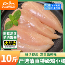 鸡小胸新鲜冷冻清真鸡脯肉健身代餐清真鸡胸肉速冻生鲜鸡里脊10斤
