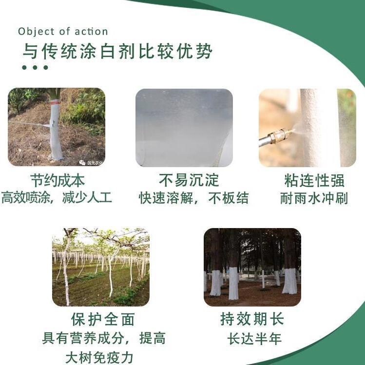 树干树木涂白剂涂白粉果树园林绿化刷白剂防虫防冻抗寒园林养护|undefined