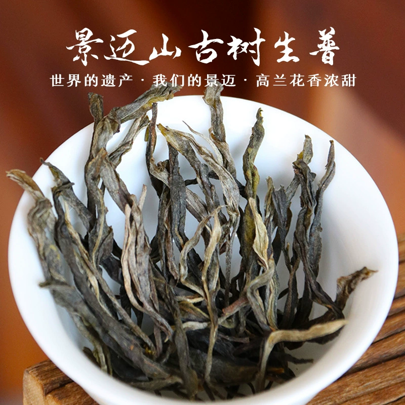 2024 Голова весны Цзинмайшань Древние деревья и цветы пуэр ароматный чай пуэр сырой чай 500 г Юньнань древнее дерево пуэр чай оптом