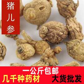 珠儿参中药材一公斤云南珠儿参猪儿参 钮子七 鞭三七猪儿参