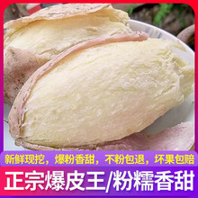 ��Ƥ������������ ���r�F�ڷ�Ŵ����ع� 2/3/5/9��Ҏ����x