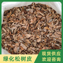 松树皮腐熟松鳞兰花植物种植发酵松鳞绿化造景铺面打磨有机覆盖物