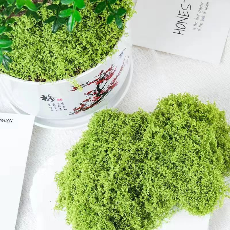 Wool moss light color 1kg