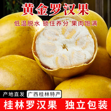 黄金罗汉果干果广西桂林永福特产新鲜冻罗汉果茶泡水喝正品独立装