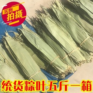 Wild Zongye Wang Commercial Drying Big Zongye Zongzi Leaf Fresh Extra Large Deep Mountain Picking 2.50kg Pack Free of Shipping