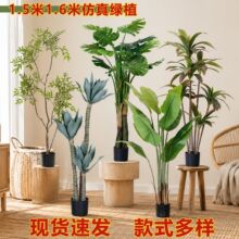 1.5��1.6�׷���Gֲϵ���҃ȴ�����ؼ٘����ԙ������^�쾰�����